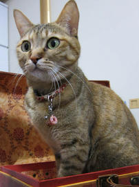 IMG07130.jpg