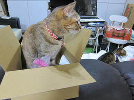 IMG07134.jpg