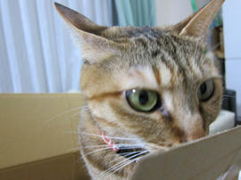 IMG07135.jpg