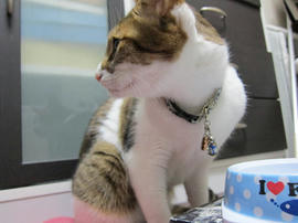 IMG07139.jpg