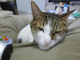 IMG07148.jpg