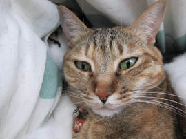 IMG07152.jpg