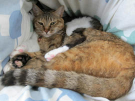 IMG07153.jpg