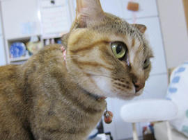 IMG07157.jpg