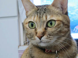 IMG07158.jpg