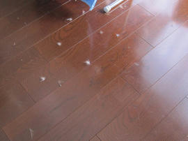 IMG07159.jpg