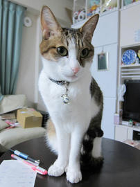IMG07161.jpg