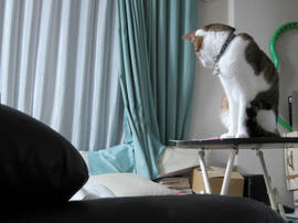 IMG07164.jpg