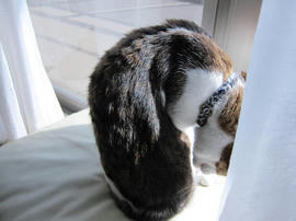 IMG07173.jpg