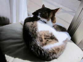 IMG07174.jpg