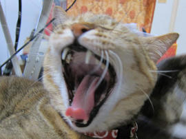 IMG07175.jpg