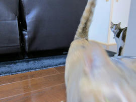 IMG07177.jpg