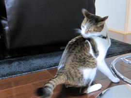 IMG07178.jpg