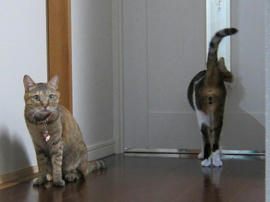 IMG07179.jpg