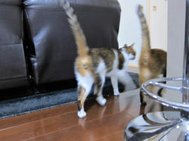 IMG07181.jpg