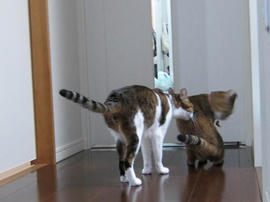 IMG07182.jpg