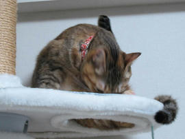 IMG07183.jpg
