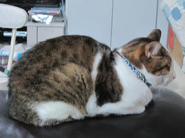 IMG07187.jpg