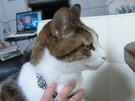 IMG07188.jpg