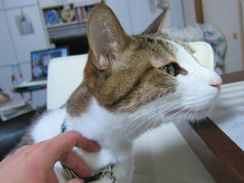 IMG07189.jpg