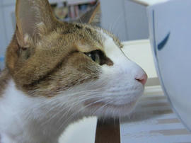 IMG07190.jpg