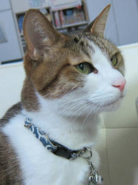 IMG07191.jpg