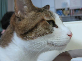 IMG07192.jpg
