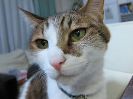 IMG07193.jpg