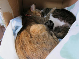 IMG07202.jpg