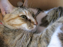 IMG07203.jpg