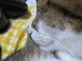 IMG07210.jpg
