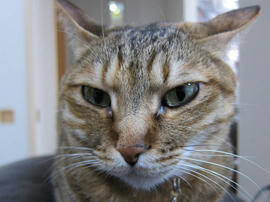 IMG07209.jpg