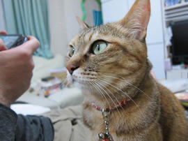 IMG07211.jpg