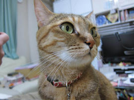 IMG07212.jpg