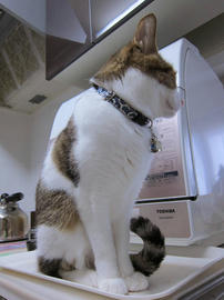 IMG07221.jpg