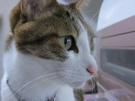 IMG07224.jpg