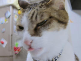 IMG07225.jpg