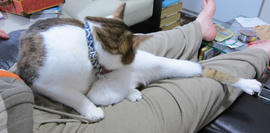 IMG07228.jpg