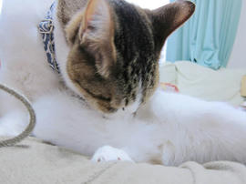 IMG07229.jpg