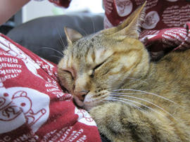IMG07231.jpg