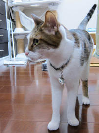 IMG07233.jpg