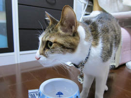 IMG07237.jpg