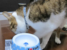 IMG07238.jpg