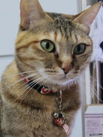 IMG07239.jpg