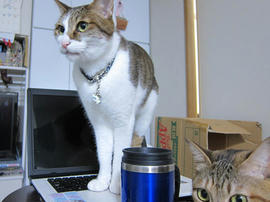 IMG07241.jpg