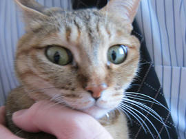 IMG07243.jpg