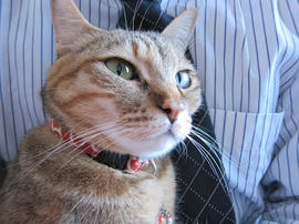 IMG07244.jpg