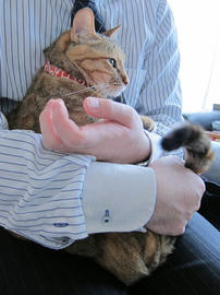 IMG07245.jpg