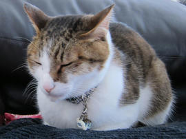 IMG07247.jpg