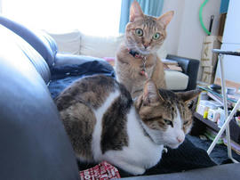 IMG07250.jpg